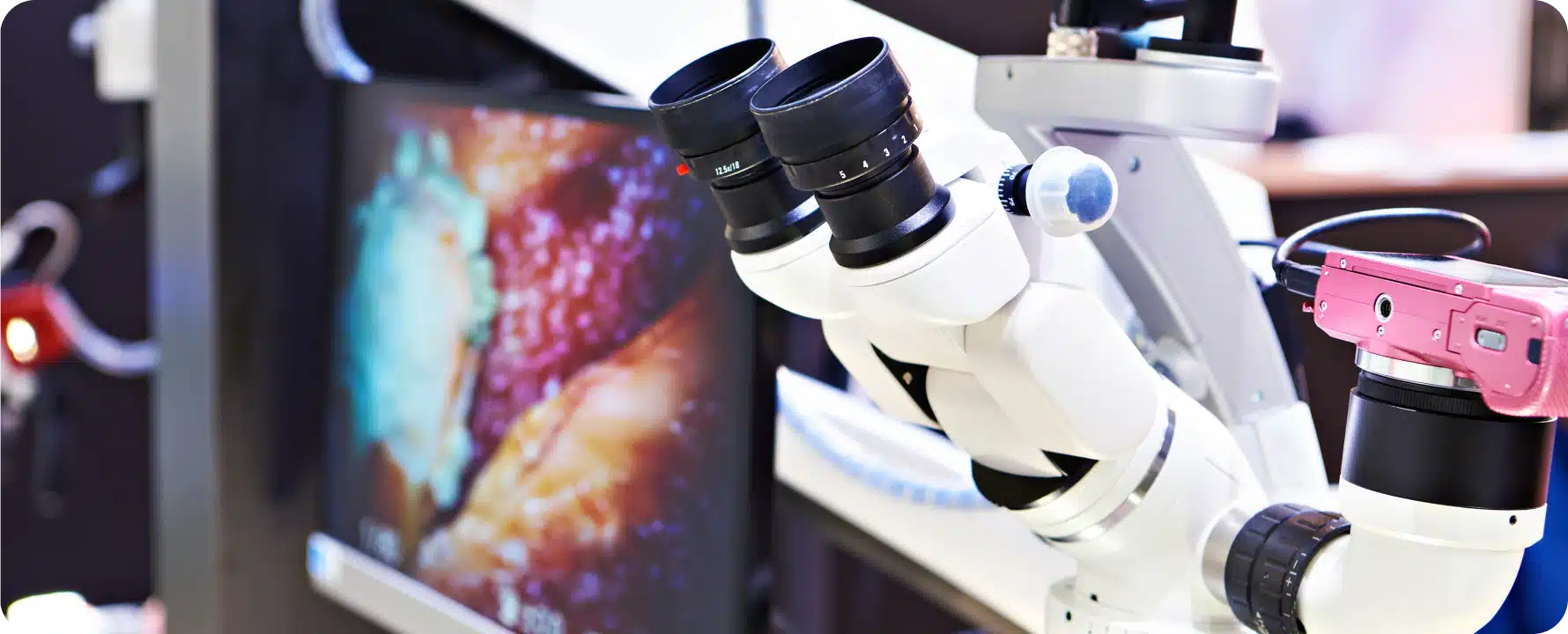 microscope operatoire endodontie toulouse Le traitement canalaire par microscope Dentiste à Toulouse, Dentiste Mathieu Benichou